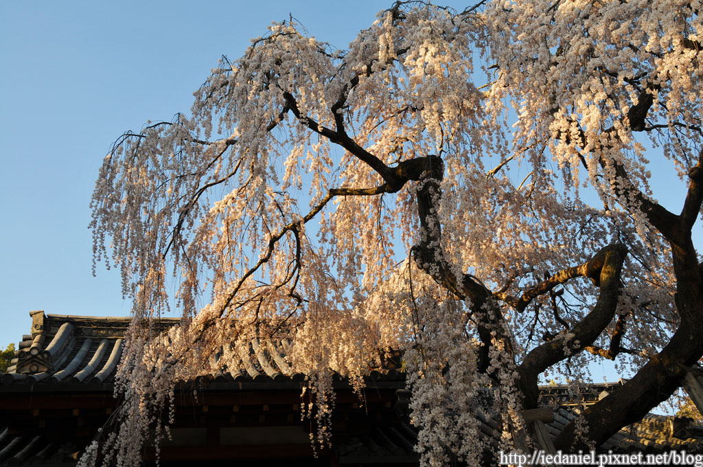 DSC_2266.jpg DSC_2266.jpg