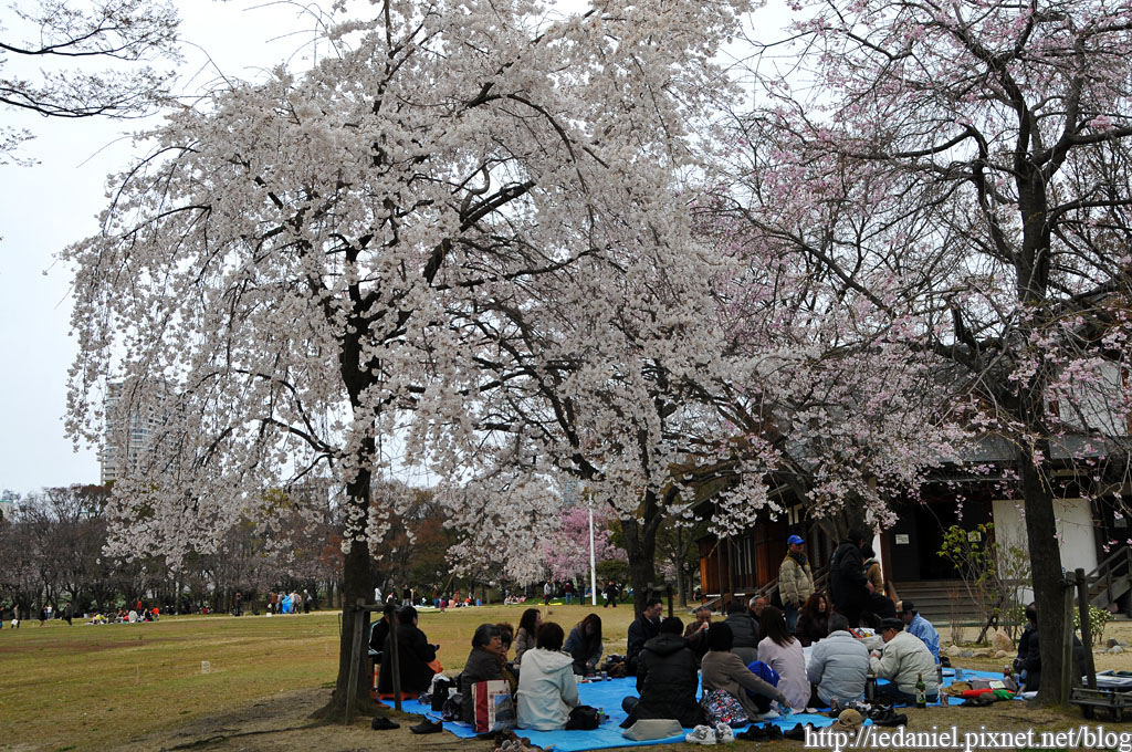 DSC_1166.jpg DSC_1166.jpg