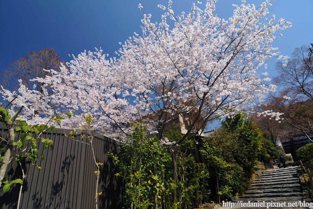 DSC_2401.jpg DSC_2401.jpg