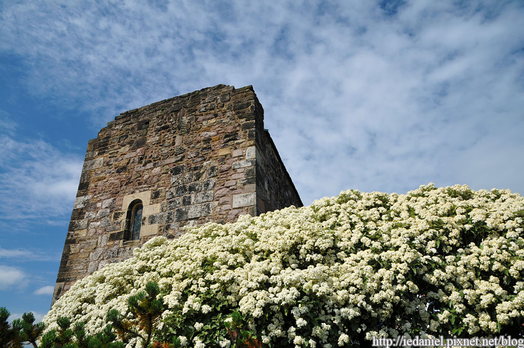 DSC_8740.jpg DSC_8740.jpg