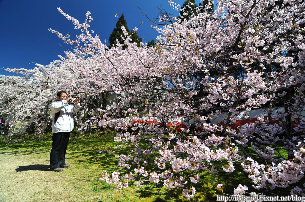 DSC_1520.jpg DSC_1520.jpg