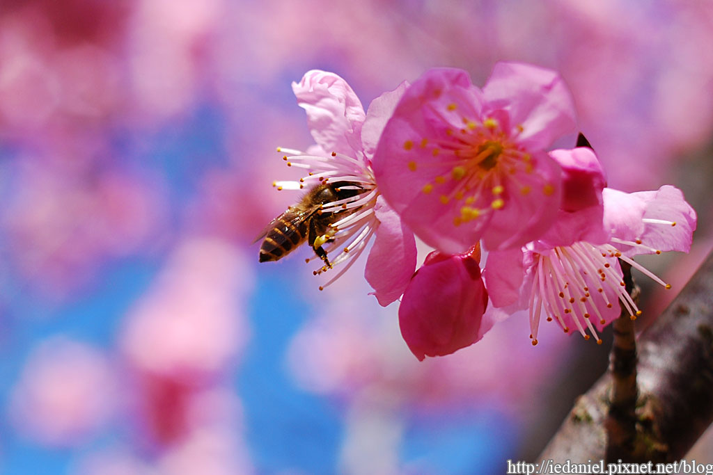 DSC_0360.jpg DSC_0360.jpg