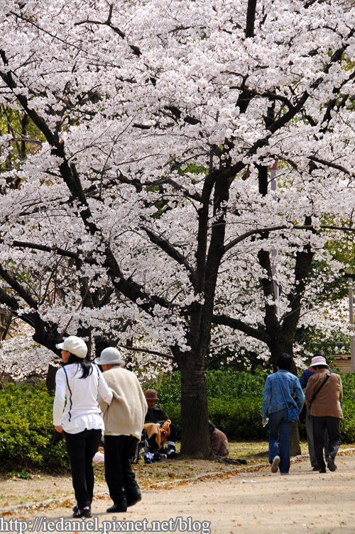 DSC_2915.jpg DSC_2915.jpg