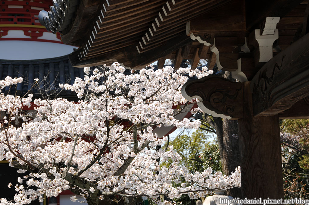 DSC_2502.jpg DSC_2502.jpg