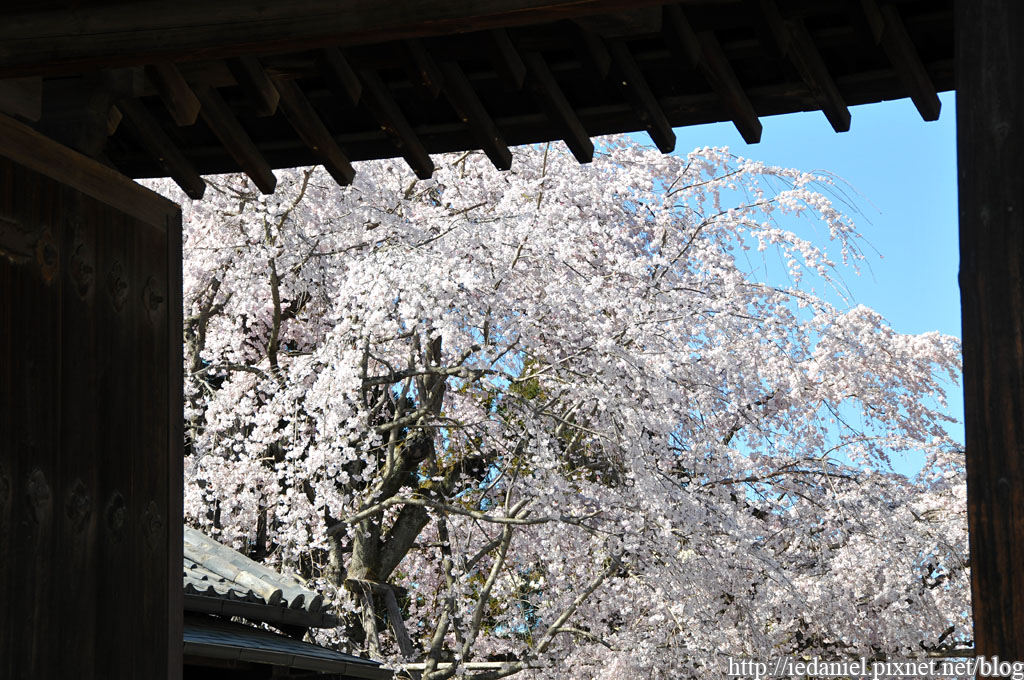 DSC_1737.jpg DSC_1737.jpg