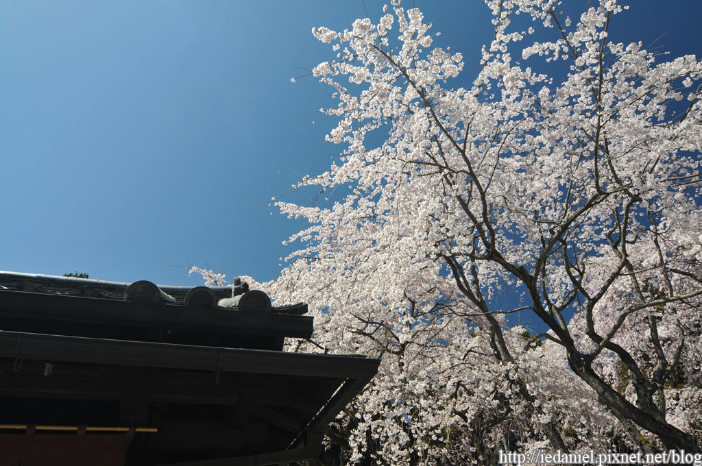 DSC_1460.jpg DSC_1460.jpg