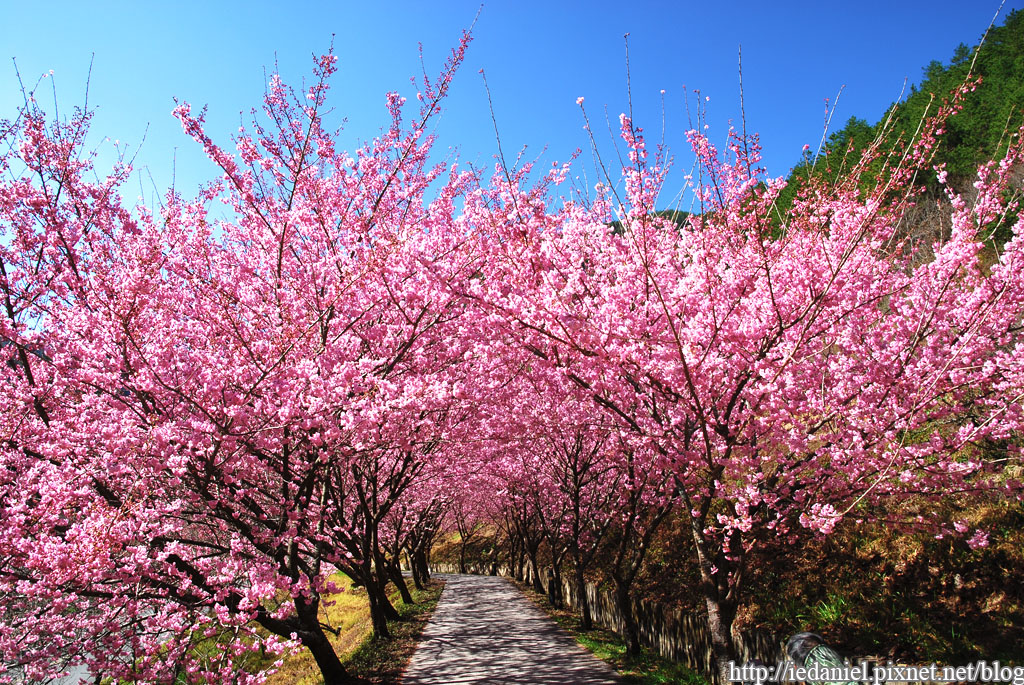 DSC_0266.jpg DSC_0266.jpg