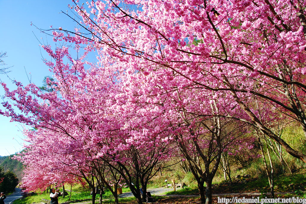 DSC_0074.jpg DSC_0074.jpg