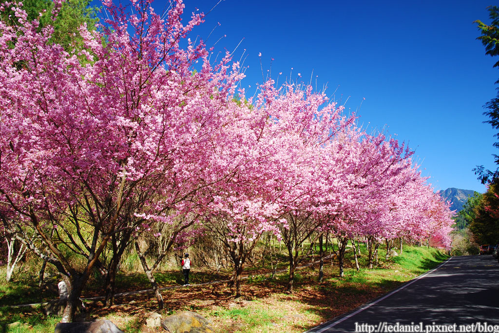 DSC_0065.jpg DSC_0065.jpg