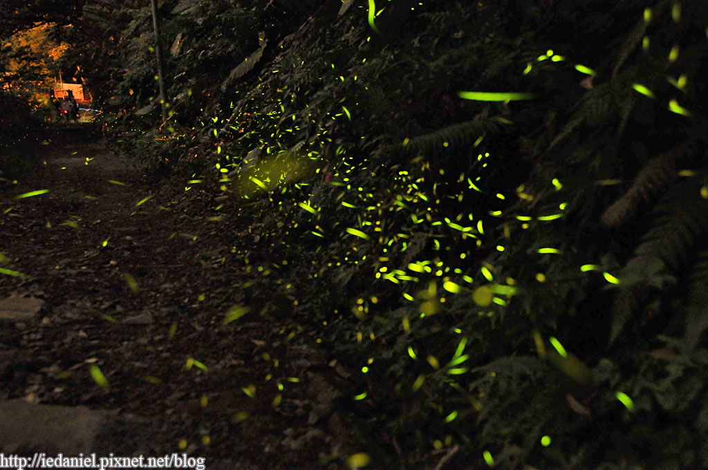 DSC_3403.jpg DSC_3403.jpg