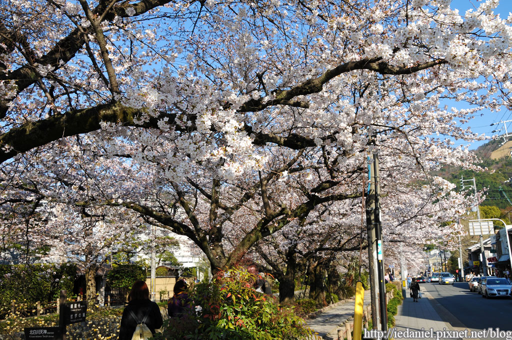 DSC_2543.jpg DSC_2543.jpg