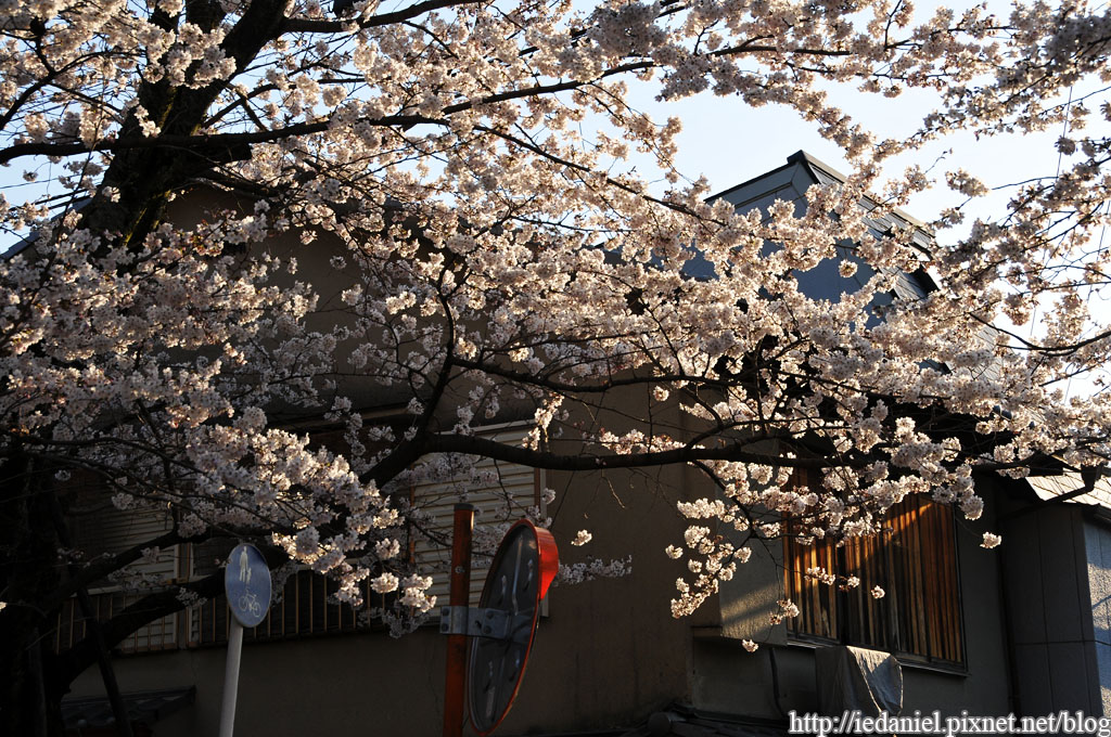 DSC_2608.jpg DSC_2608.jpg