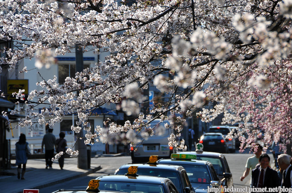 DSC_2556.jpg DSC_2556.jpg