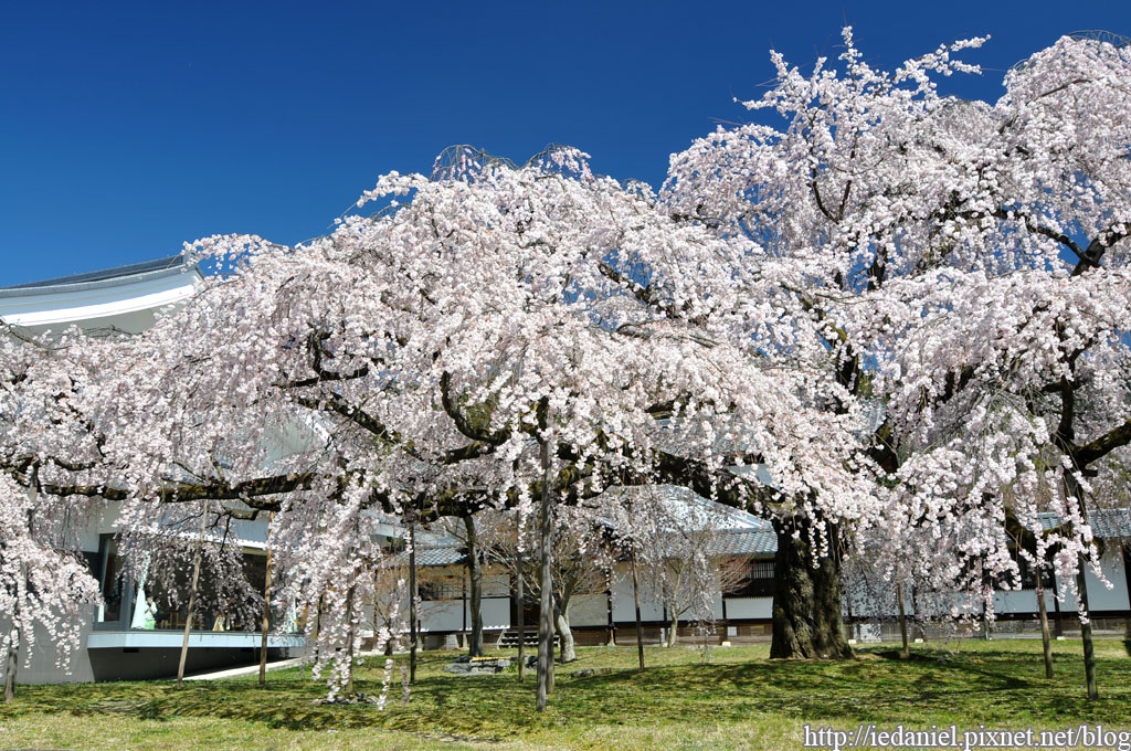 DSC_1623.jpg DSC_1623.jpg