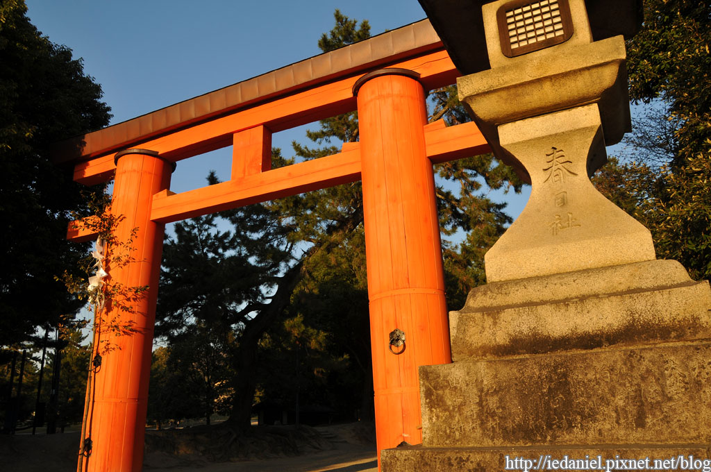 DSC_2308.jpg DSC_2308.jpg