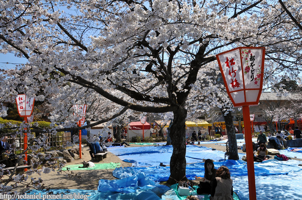 DSC_2526.jpg DSC_2526.jpg