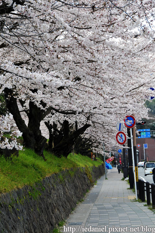 DSC_2836.jpg DSC_2836.jpg