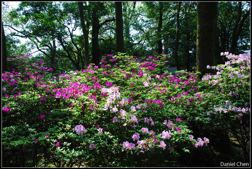 DSC_0245.jpg DSC_0245.jpg
