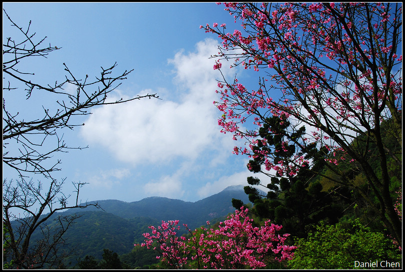 DSC_0304.jpg DSC_0304.jpg