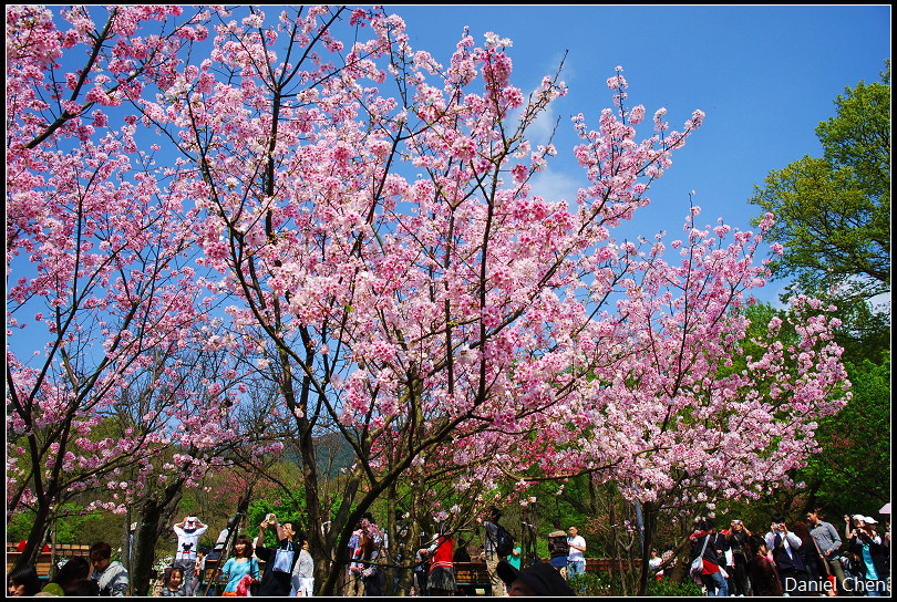 DSC_0345.jpg DSC_0345.jpg