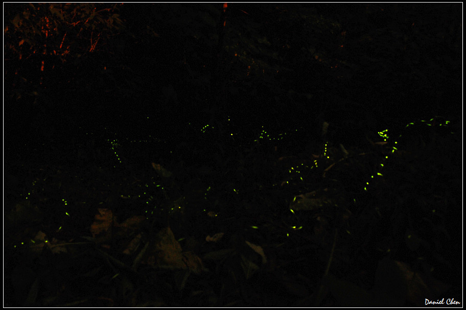 DSC_0105.jpg DSC_0105.jpg