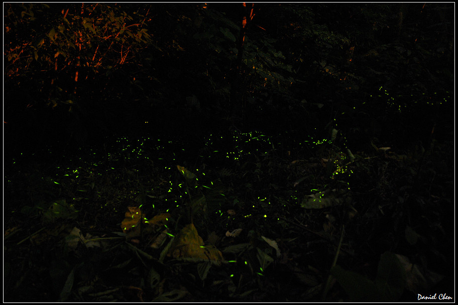 DSC_0106.jpg DSC_0106.jpg