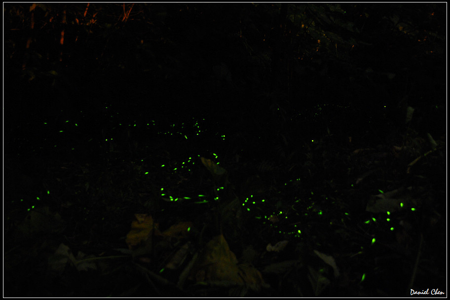 DSC_0108.jpg DSC_0108.jpg