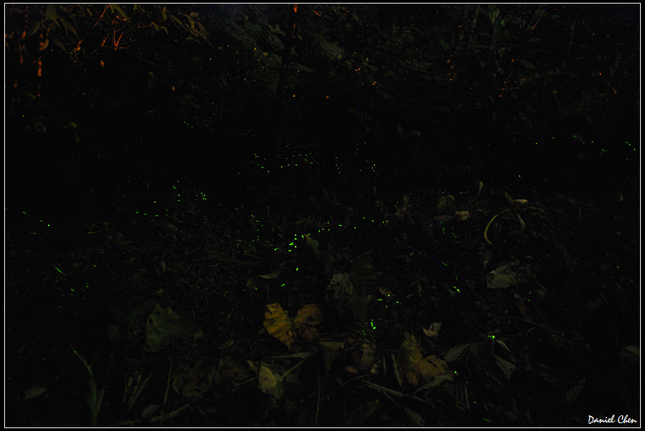 DSC_0112.jpg DSC_0112.jpg