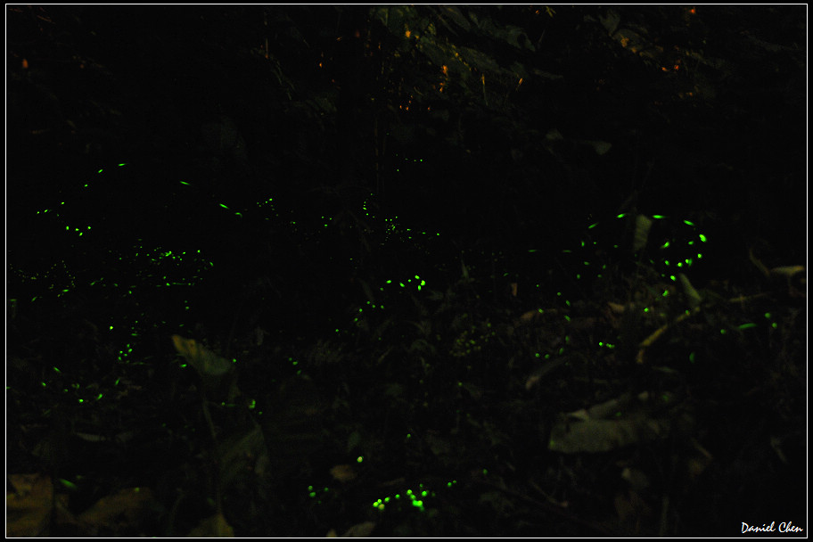 DSC_0113.jpg DSC_0113.jpg