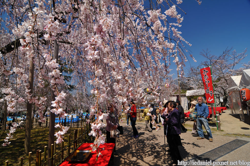 DSC_2432.jpg DSC_2432.jpg