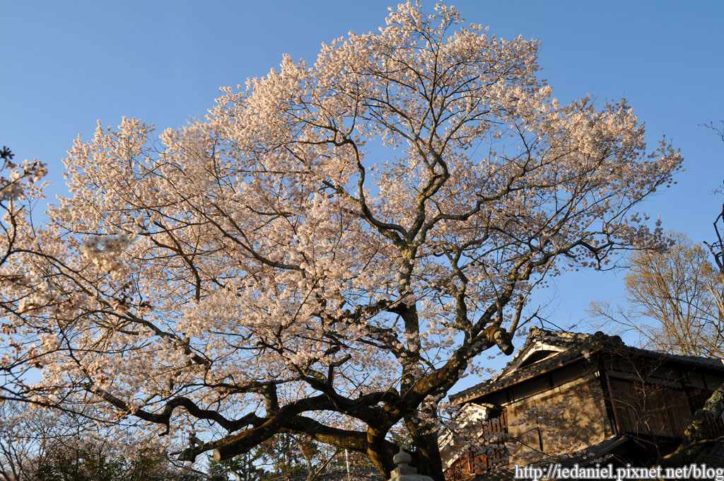 DSC_2644.jpg DSC_2644.jpg