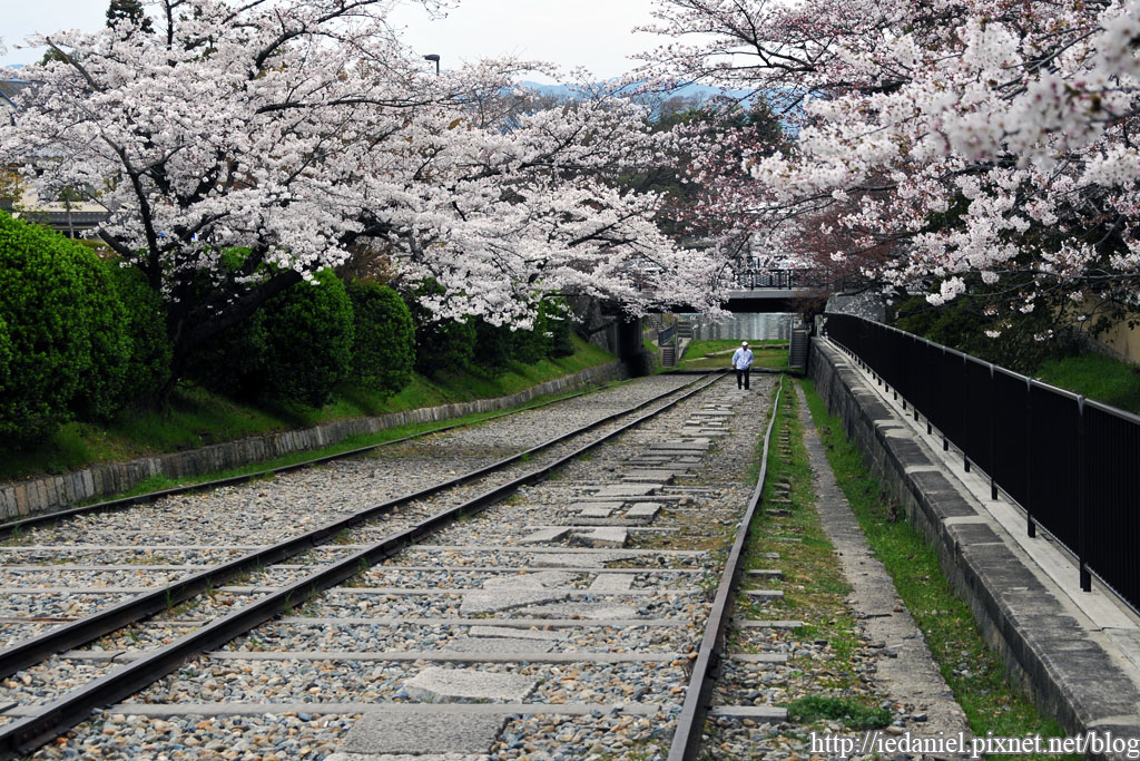 DSC_2680.jpg DSC_2680.jpg