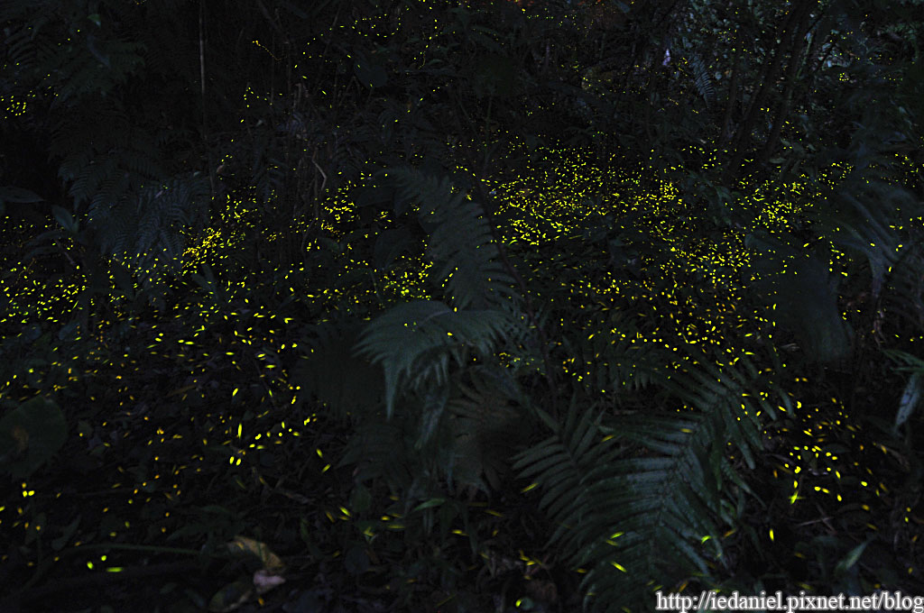 DSC_3380.jpg DSC_3380.jpg