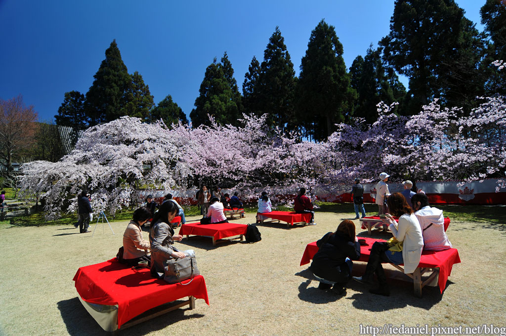 DSC_1508.jpg DSC_1508.jpg