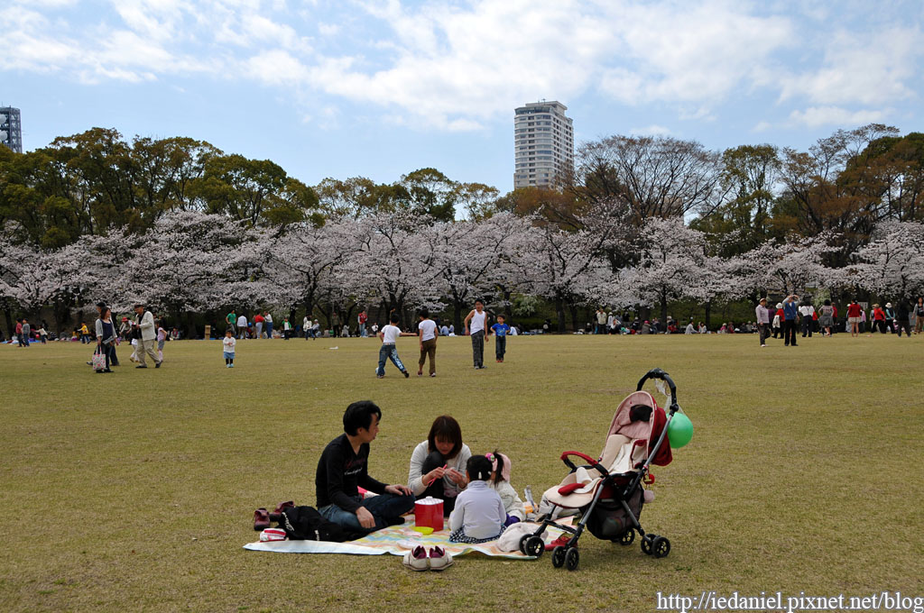 DSC_2942.jpg DSC_2942.jpg