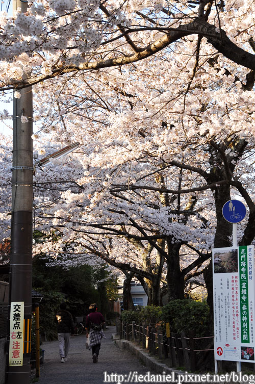 DSC_2612.jpg DSC_2612.jpg