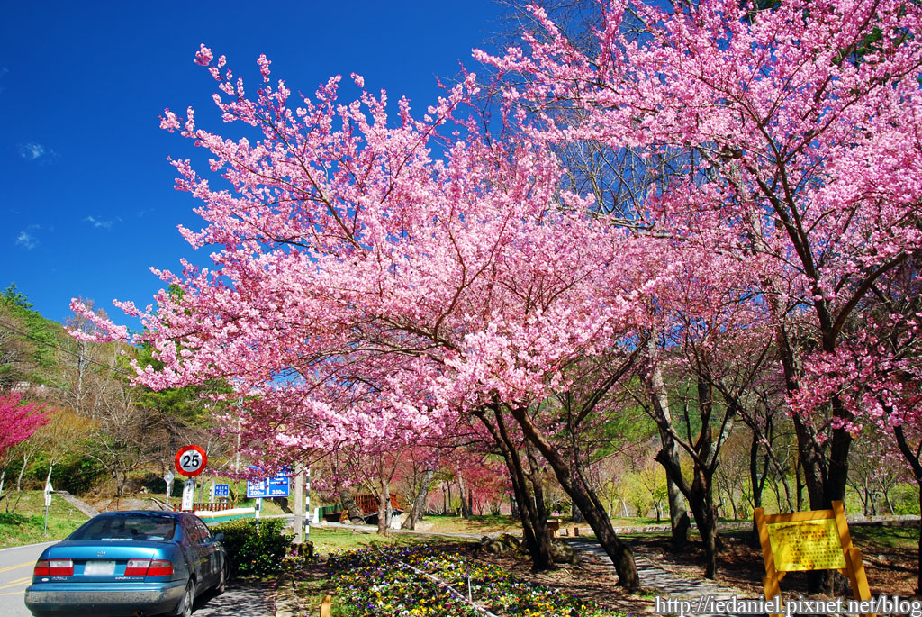 DSC_0472.jpg DSC_0472.jpg