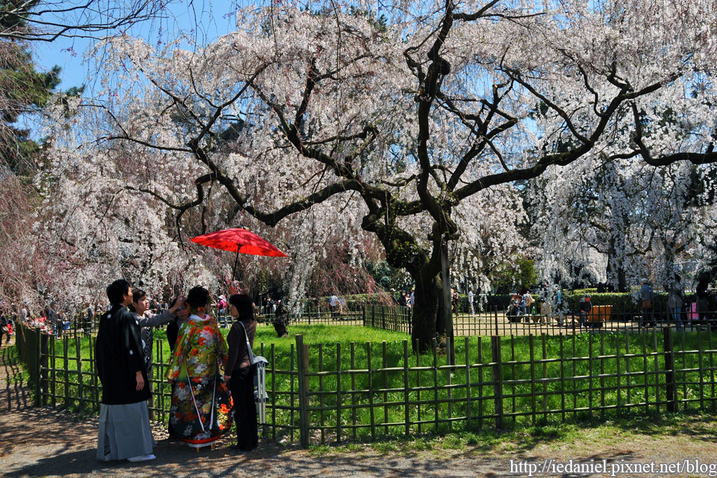 DSC_2023.jpg DSC_2023.jpg