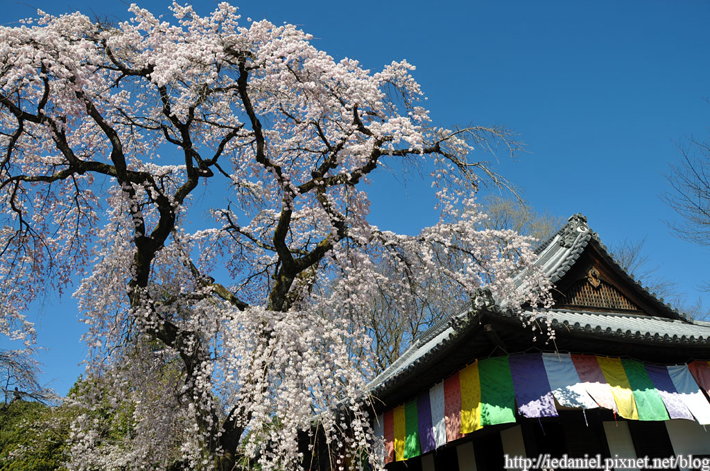 DSC_1722.jpg DSC_1722.jpg