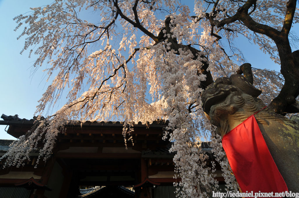 DSC_2260.jpg DSC_2260.jpg