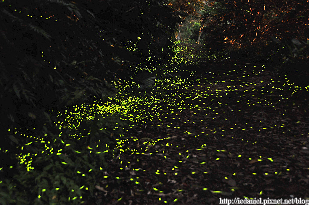 DSC_3395.jpg DSC_3395.jpg