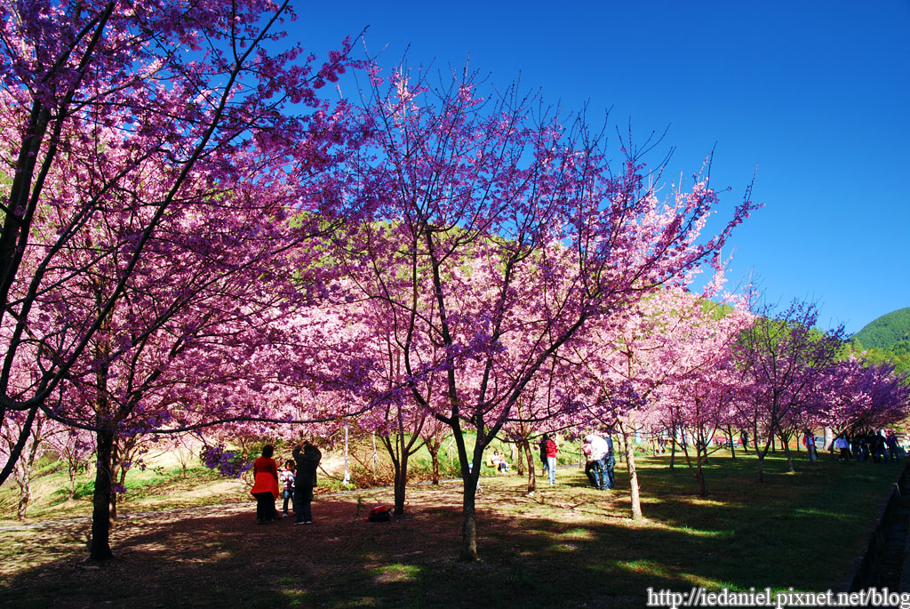 DSC_0187.jpg DSC_0187.jpg