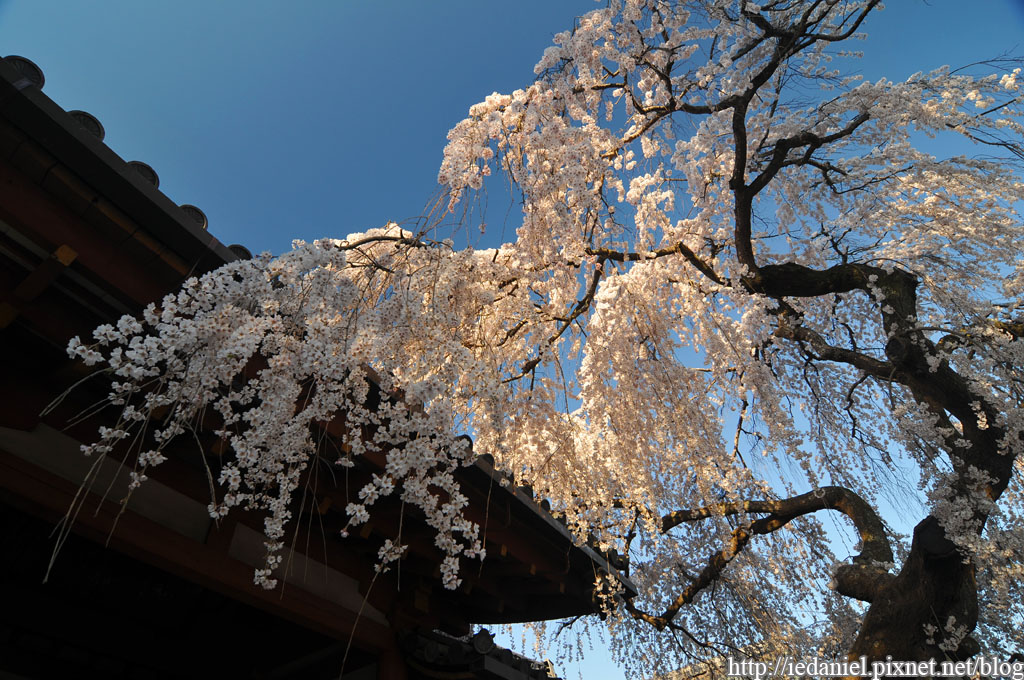 DSC_2251.jpg DSC_2251.jpg