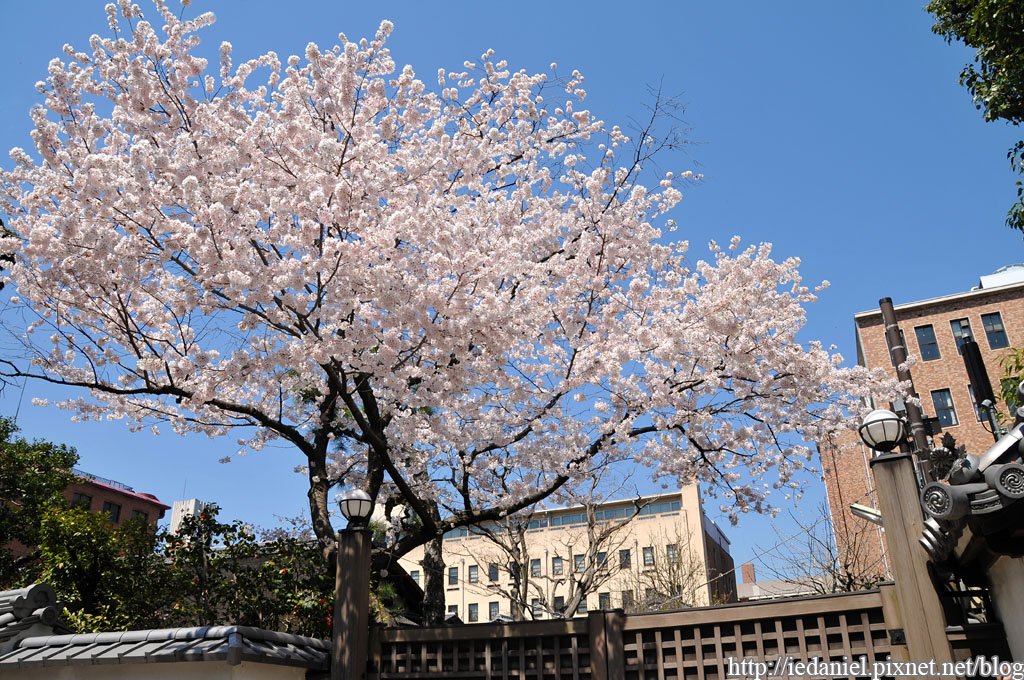 DSC_2057.jpg DSC_2057.jpg