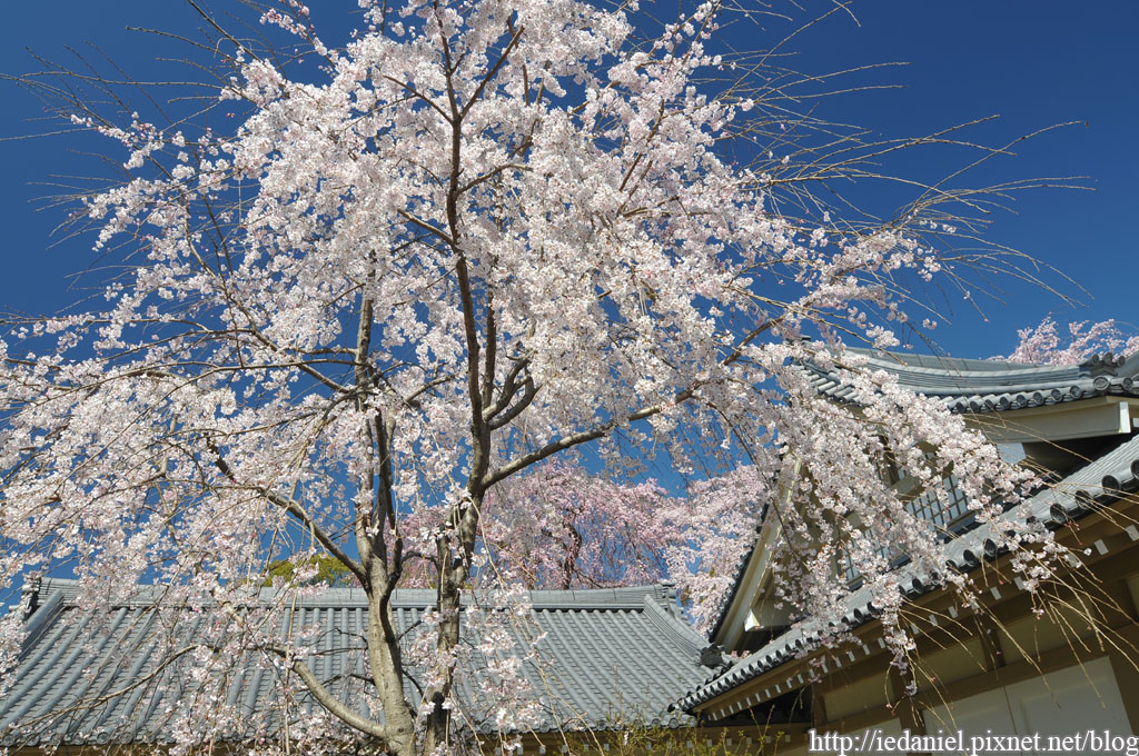 DSC_1607.jpg DSC_1607.jpg