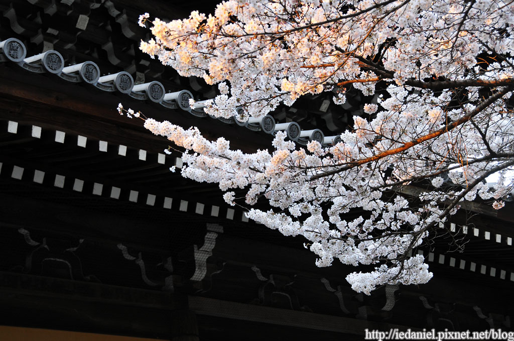 DSC_2662.jpg DSC_2662.jpg