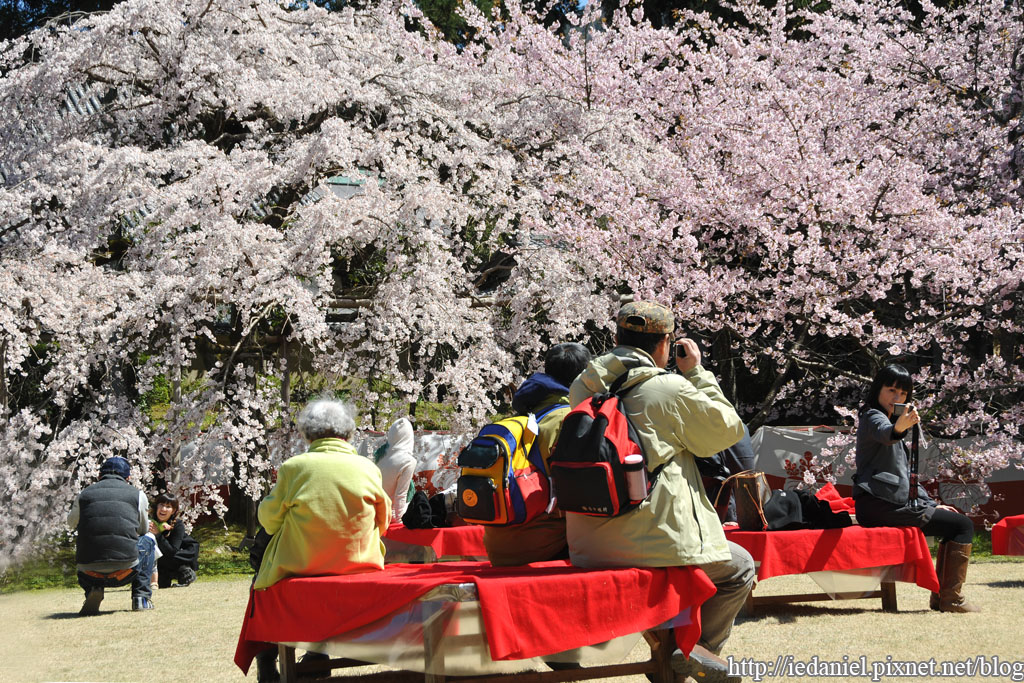 DSC_1539.jpg DSC_1539.jpg