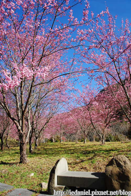 DSC_0042.jpg DSC_0042.jpg