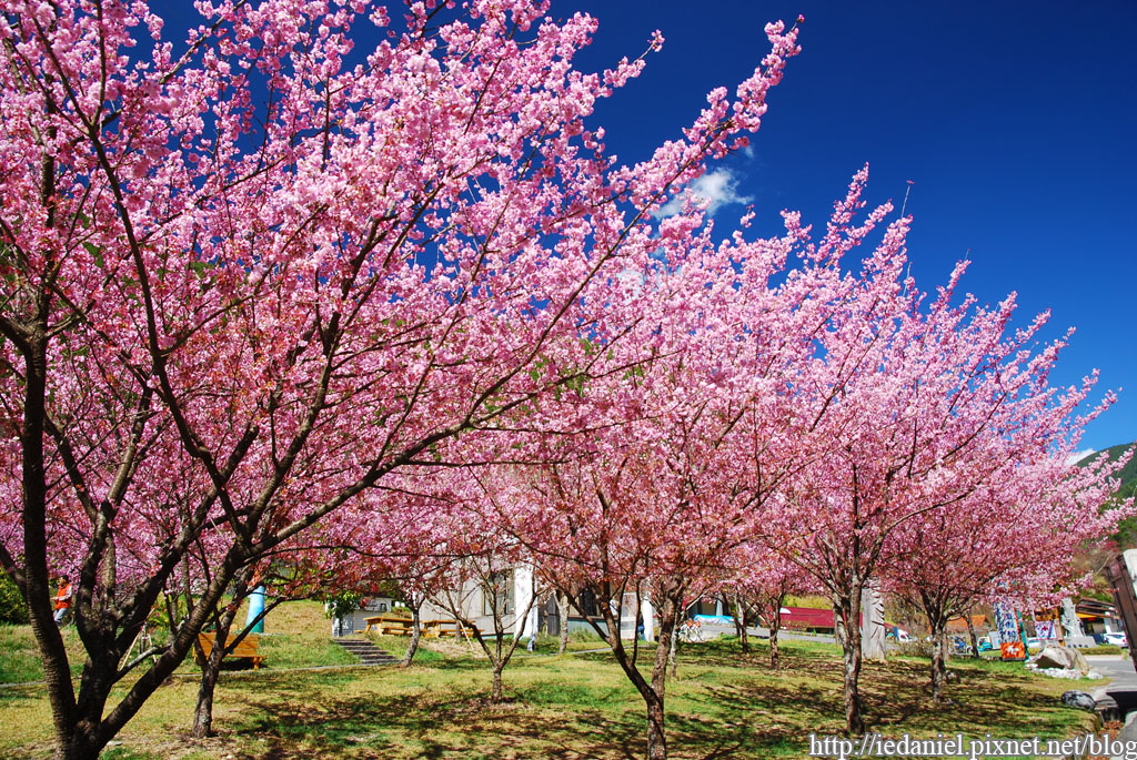 DSC_0484.jpg DSC_0484.jpg