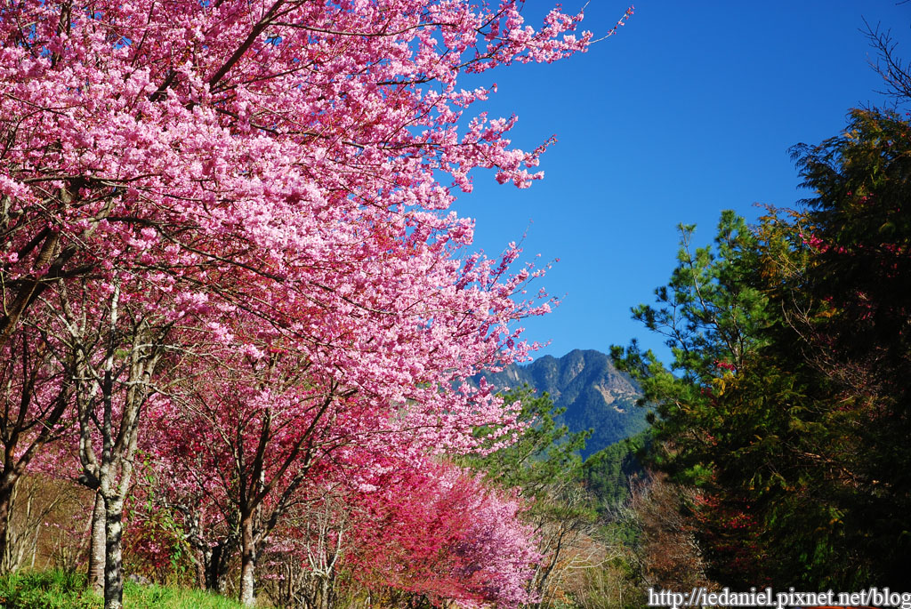 DSC_0056.jpg DSC_0056.jpg